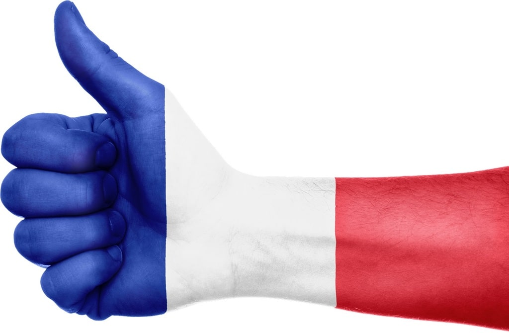 La langue française à l'ère numérique : enjeux et opportunités